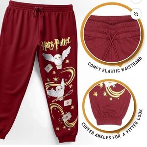 Harry Potter Joggers (official WB merch)